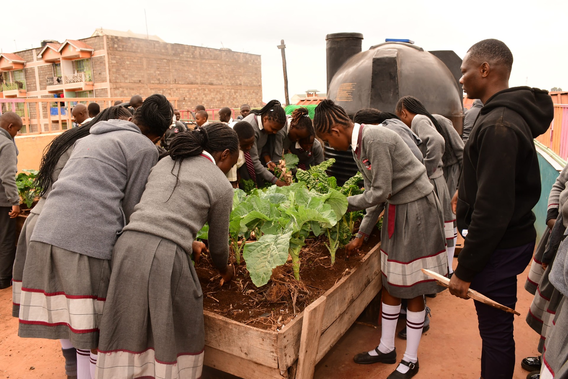 Students gardening during community service